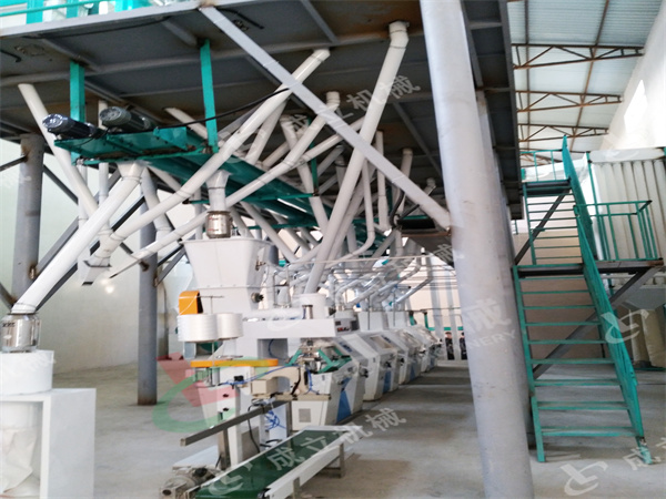 日产60吨小麦面粉机出口到乌兹别克斯坦