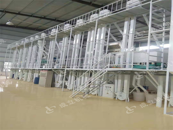 安阳滑县200吨玉米加工设备用户安装现场